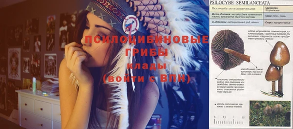 ешки Верея