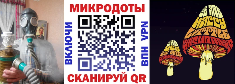 дарк нет состав  Геленджик  Псилоцибиновые грибы Psilocybe 